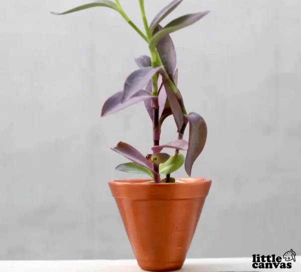 Metallic Copper Pot