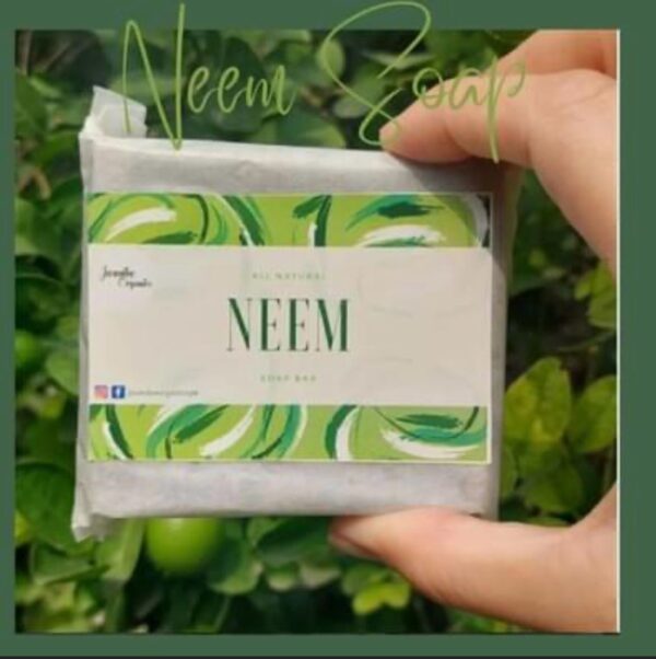 Neem and Aloe